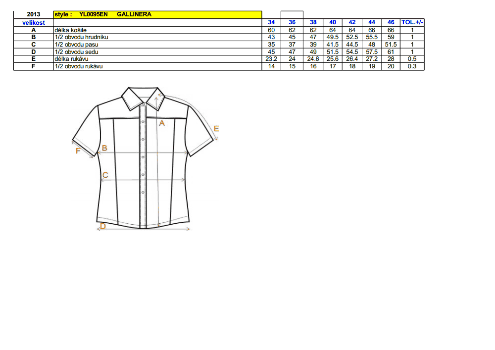 Dámská košile ENVY GALLINERA FIALOVÁ